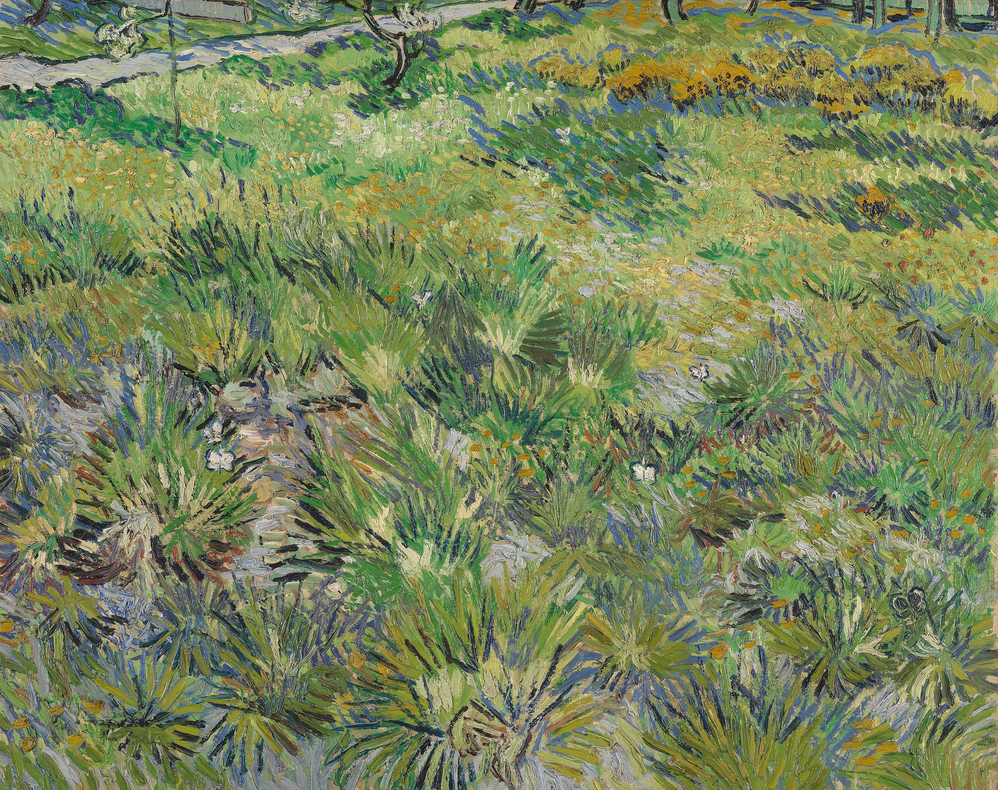 หญ้าสูงพร้อมผีเสื้อ - Vincent van Gogh