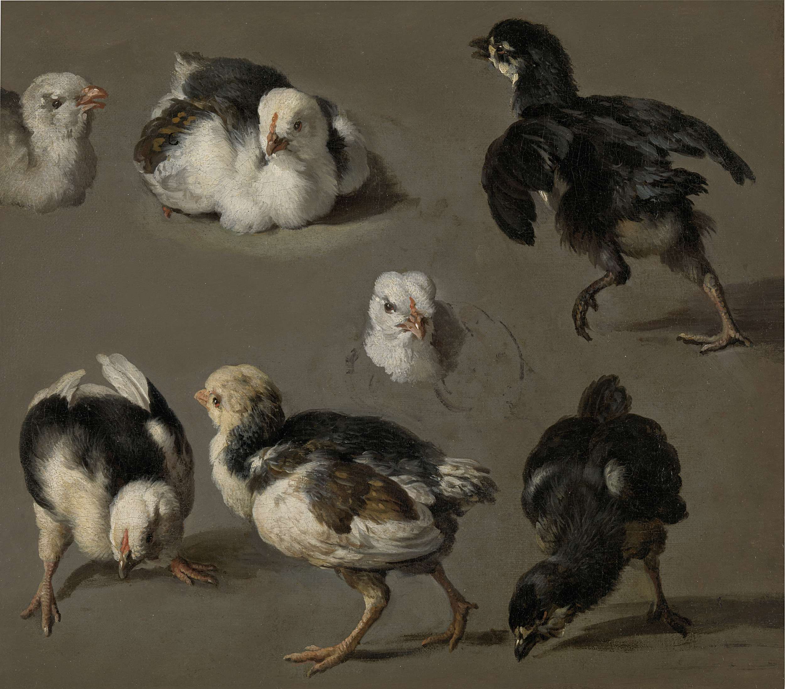 Sept poussins - Melchior de Hondecoeter