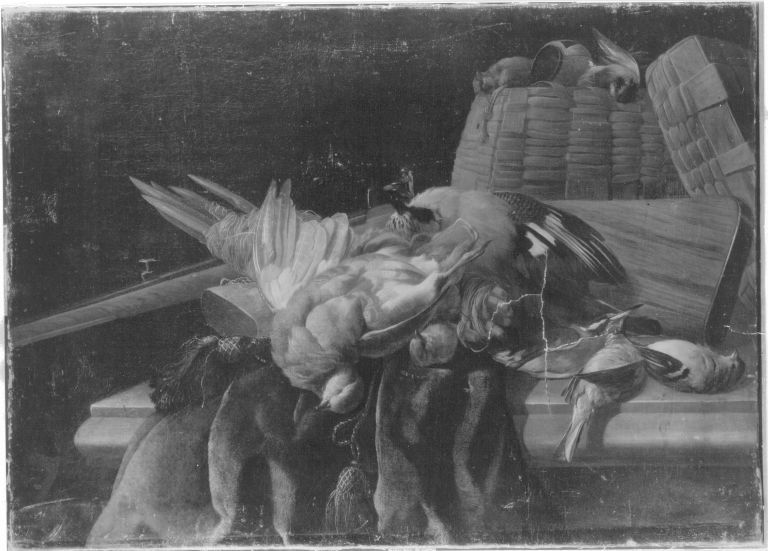 Q30093994 - Melchior de Hondecoeter
