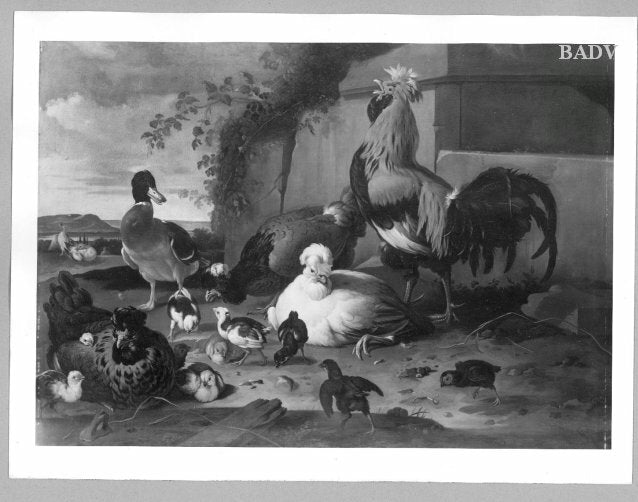 poulailler - Melchior de Hondecoeter