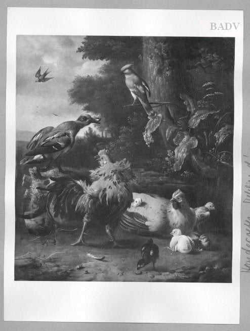 coq, poule et autres oiseaux - Melchior de Hondecoeter