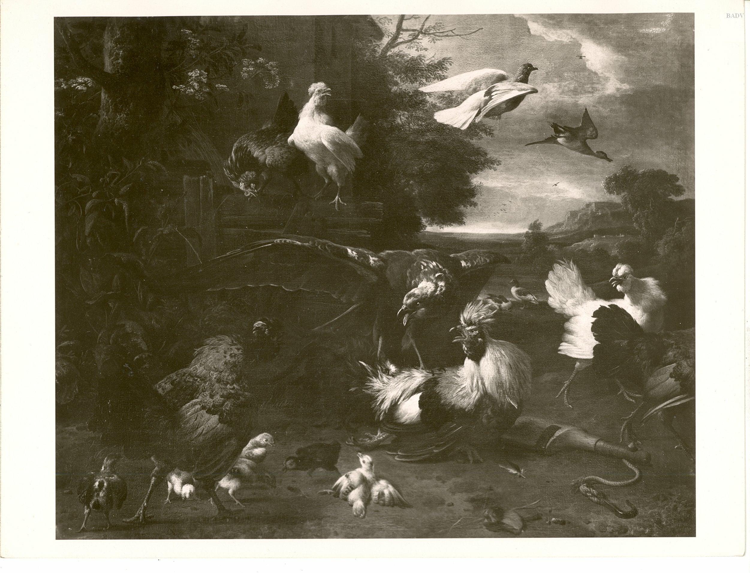 Q111646444 - Melchior de Hondecoeter