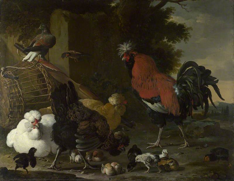 Un coq, des poules et des poussins - Melchior de Hondecoeter