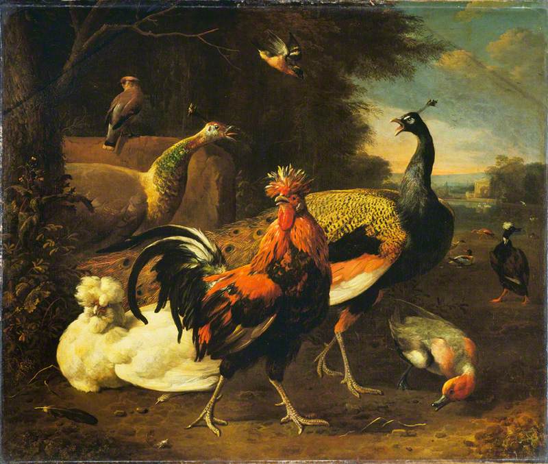 Un coq avec d'autres oiseaux - Melchior de Hondecoeter
