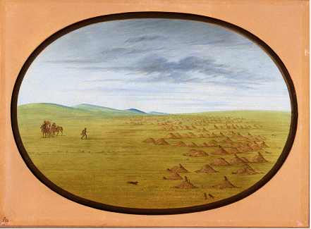 Prairie Dog Village - George Catlin