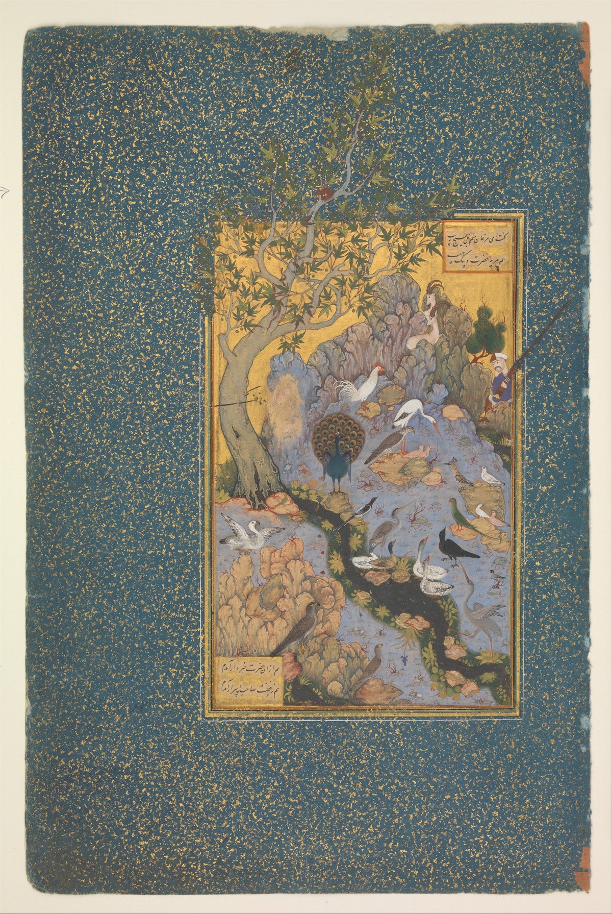 Le Rassemblement des oiseaux, Habiballah de Sava