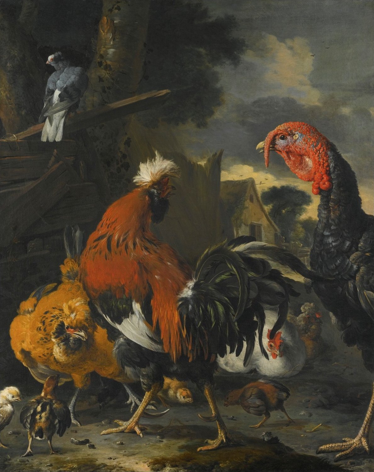 Un coq, une dinde, des poules et des poulets dans une basse-cour - Melchior de Hondecoeter