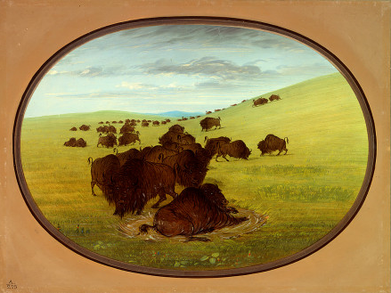 Un bourbier à bisons - George Catlin