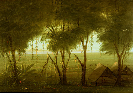 Un village de Connibo - George Catlin