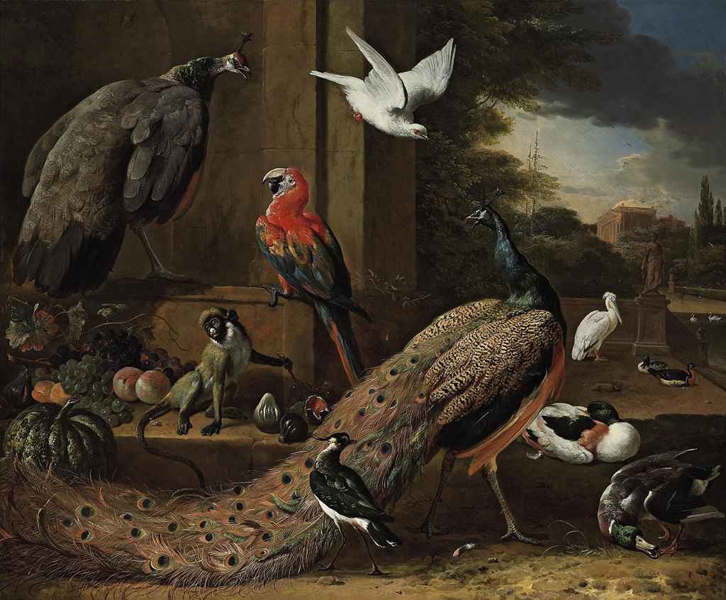 Un paon, une paonne, un singe et d'autres oiseaux sur une terrasse - Melchior de Hondecoeter
