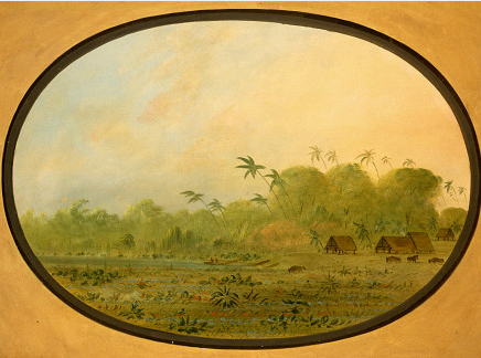 Un petit village d'Indiens Remos - George Catlin