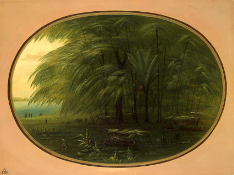 Un village indien - Rivage de l'Amazone - George Catlin