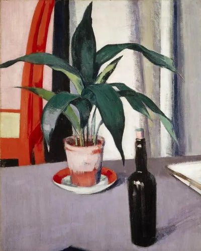Aspidistra et bouteille sur la table - Francis Cadell - Alpha Reproduction