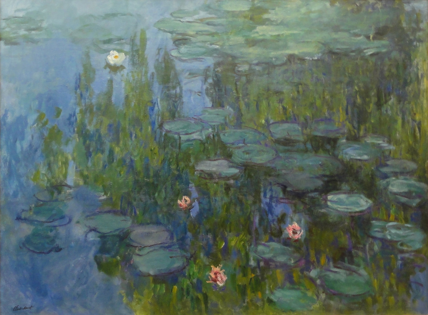 🌿 ดอกบัวในโทนสีลึกและแสงสว่างของดอกไม้ – Claude Monet
