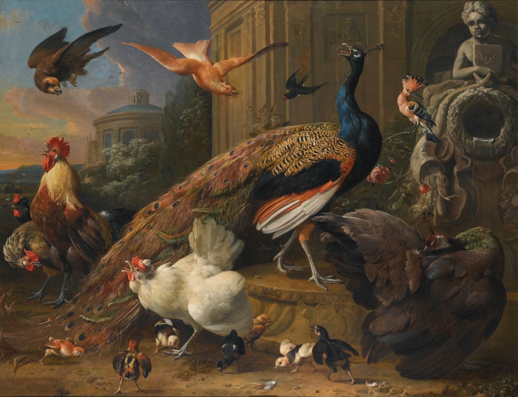 Oiseaux dérangés par un faucon - Melchior de Hondecoeter