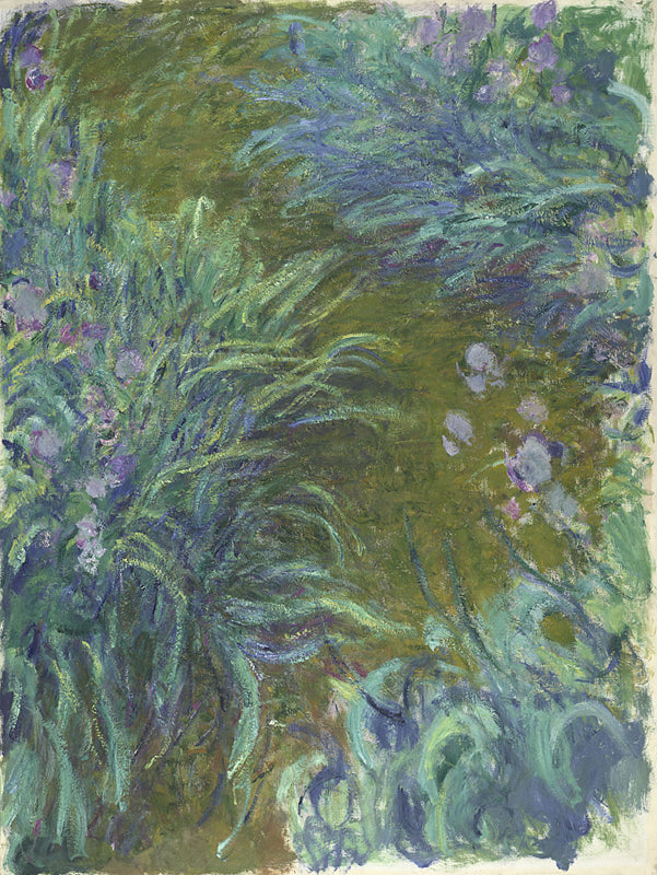 « ดอกไอริส » – Claude Monet (ประมาณ 1914–1917)