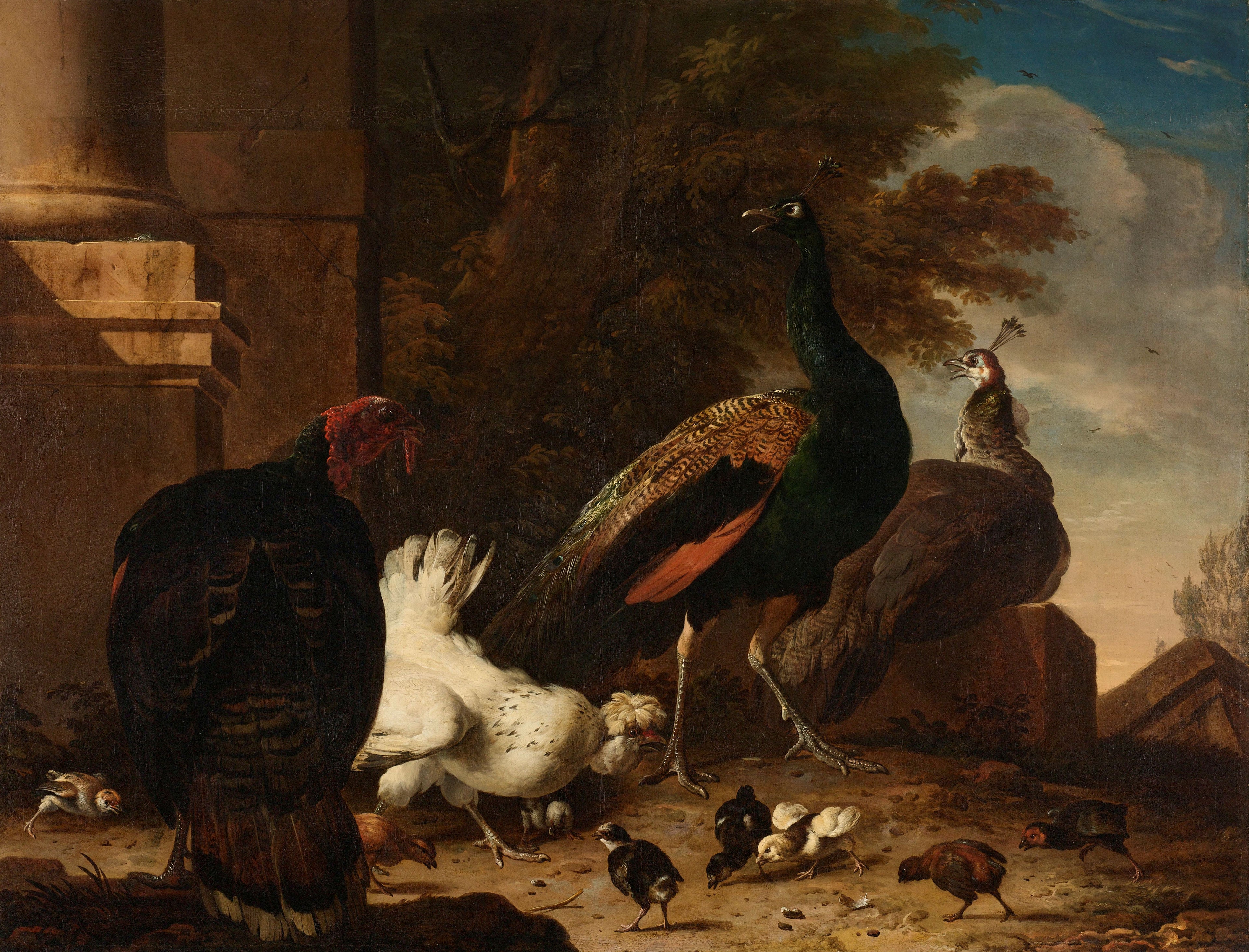 Une poule avec des paons et une dinde - Melchior de Hondecoeter