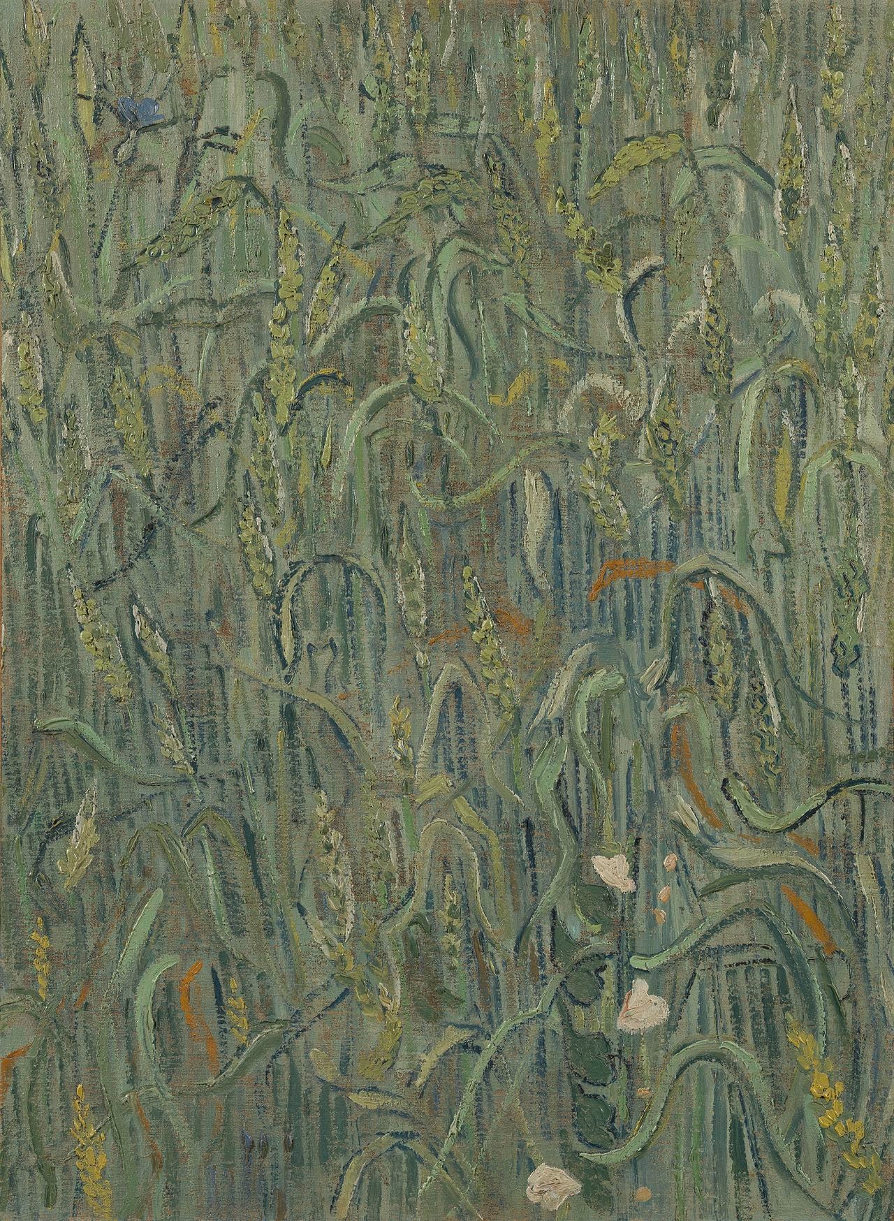 รวงข้าว - Vincent van Gogh
