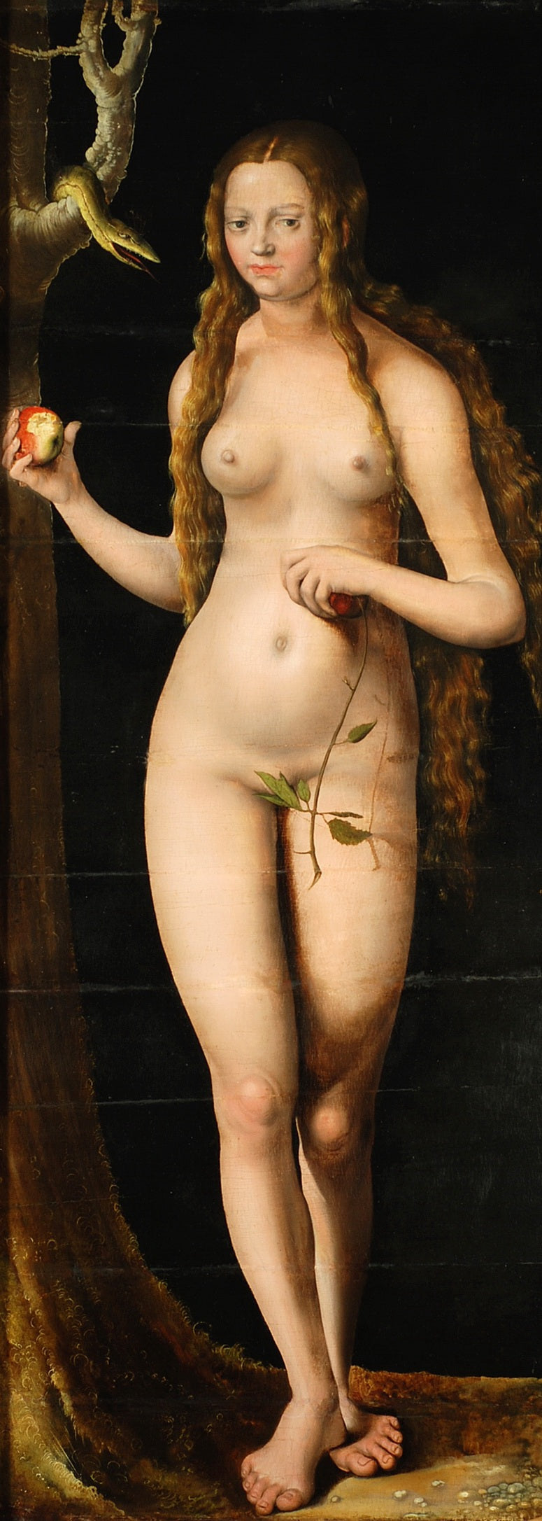 Veille - Lucas Cranach the Elder