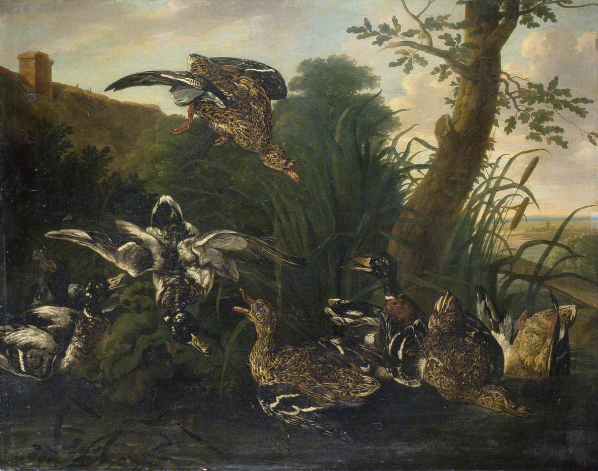 Sauvagine - Frans Snyders