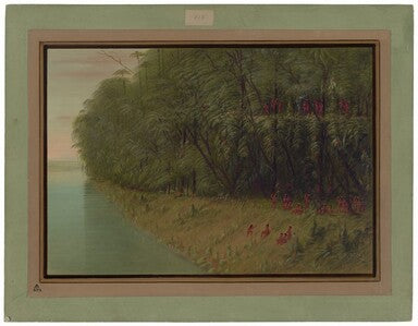 Une forêt amazonienne - Regard vers le rivage - George Catlin