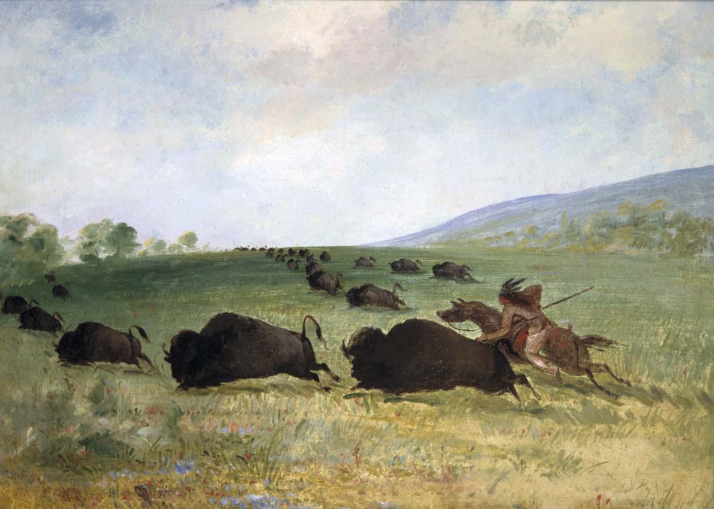 Un Indien Osage lance un buffle - George Catlin