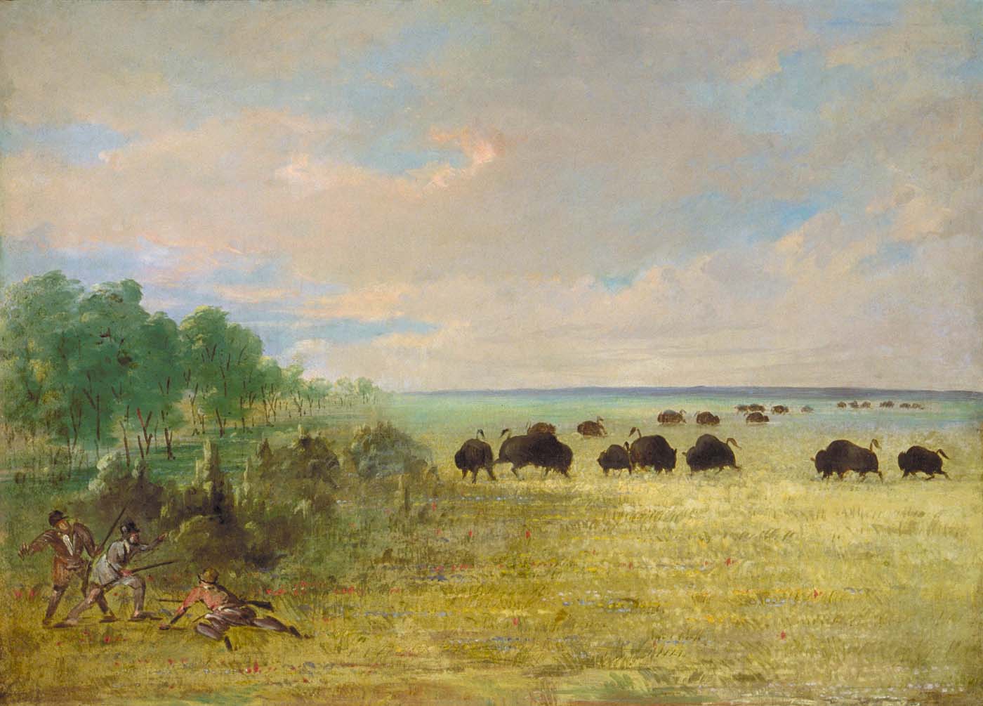 Catlin et Party traquent Buffalo au Texas - George Catlin