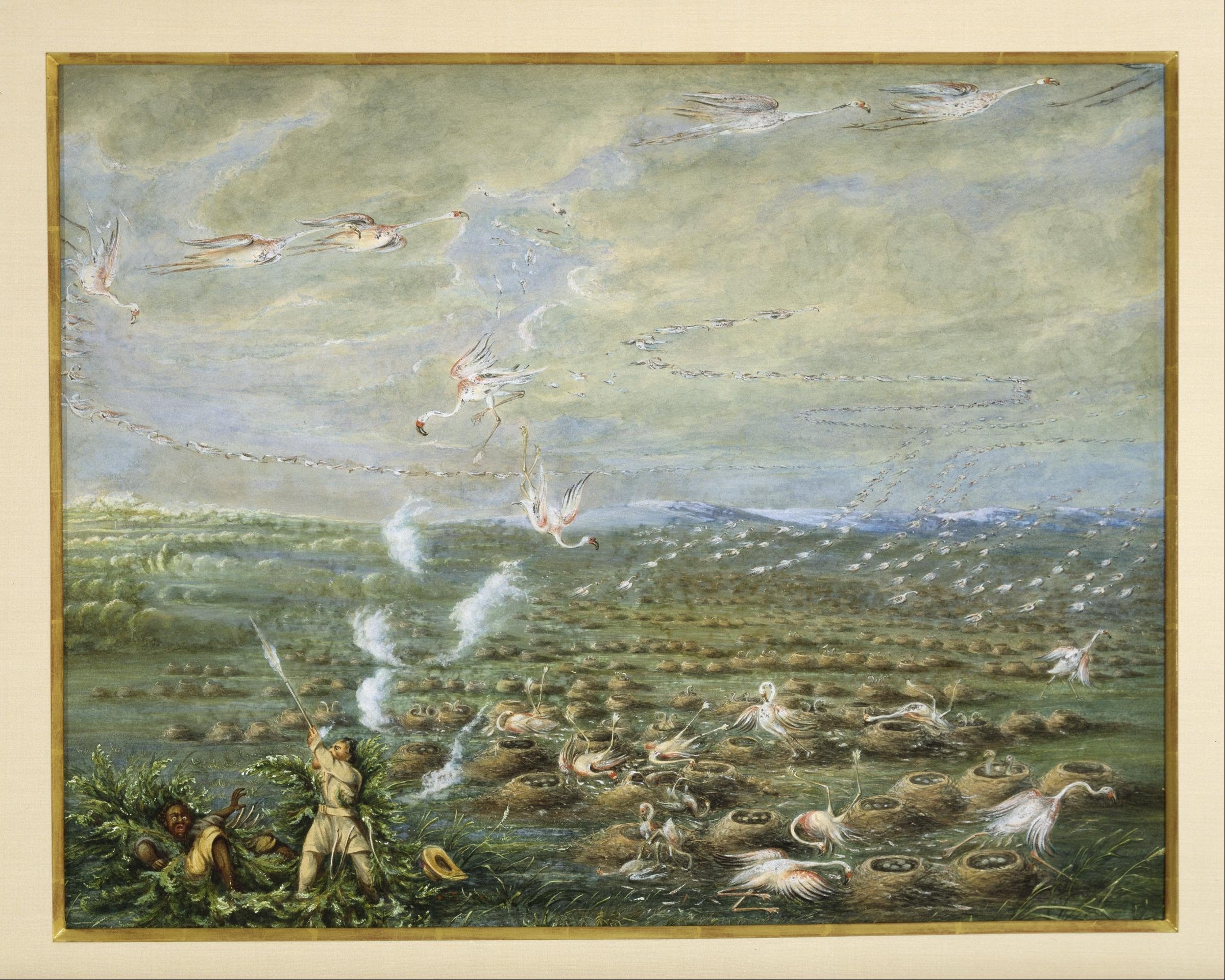 Chasse aux flamants roses en Amérique du Sud - George Catlin