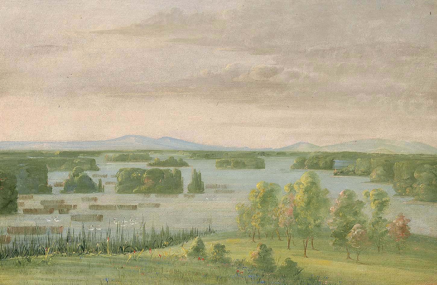 Lac du Cygne (Lac des Cygnes), Près du Coteau des Prairies - George Catlin