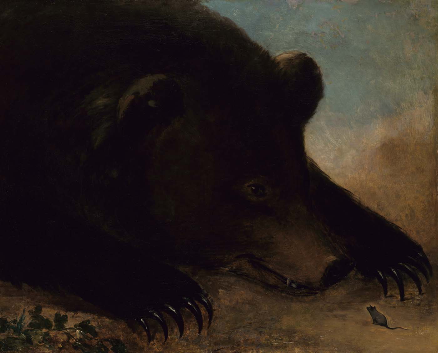 Portraits d'un grizzli et d'une souris, grandeur nature - George Catlin