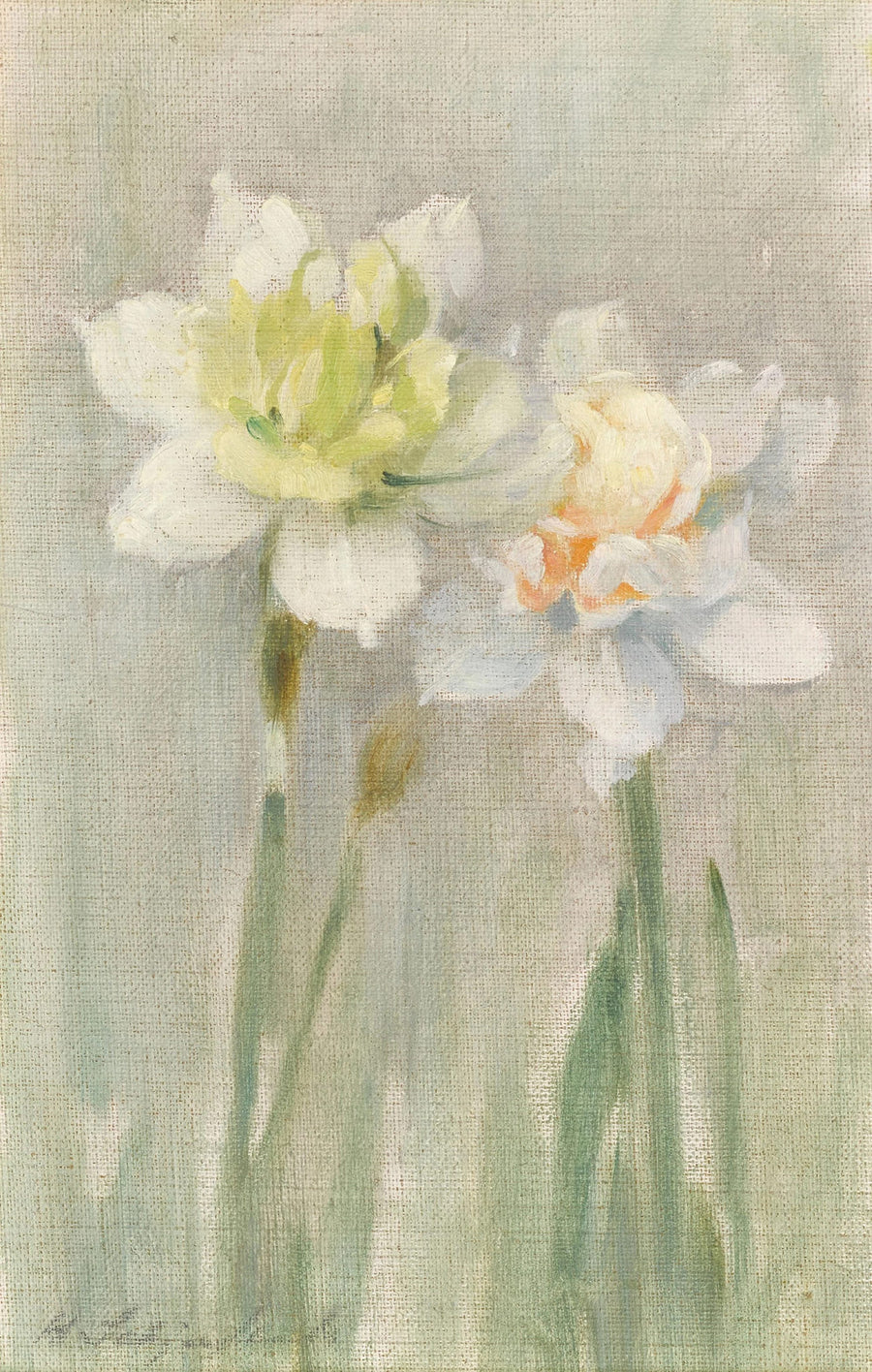White Narcissi 1890s - Helene Schjerfbeck