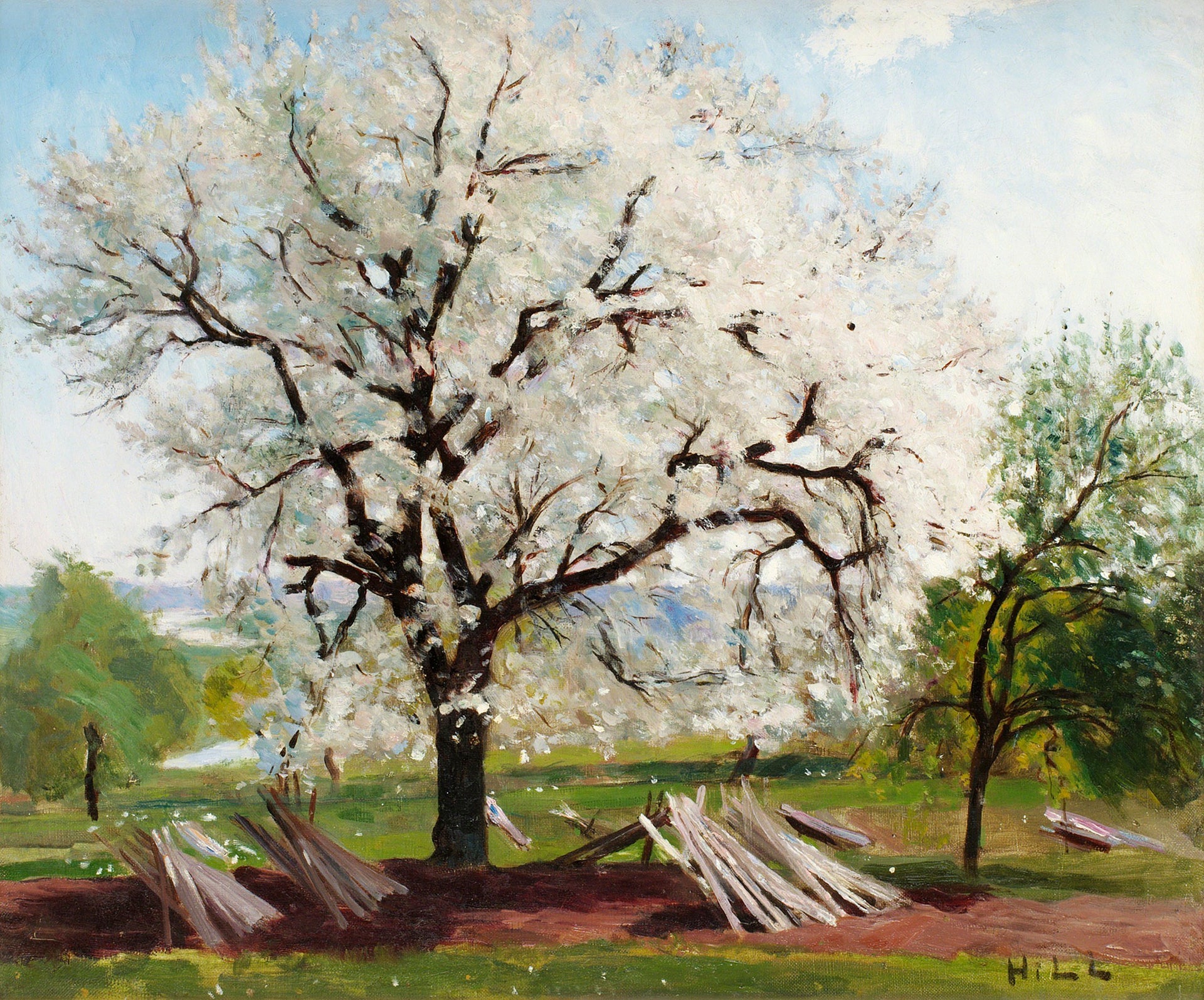 Arbre fruitier en fleurs, peinture de Carl Fredrik Hill