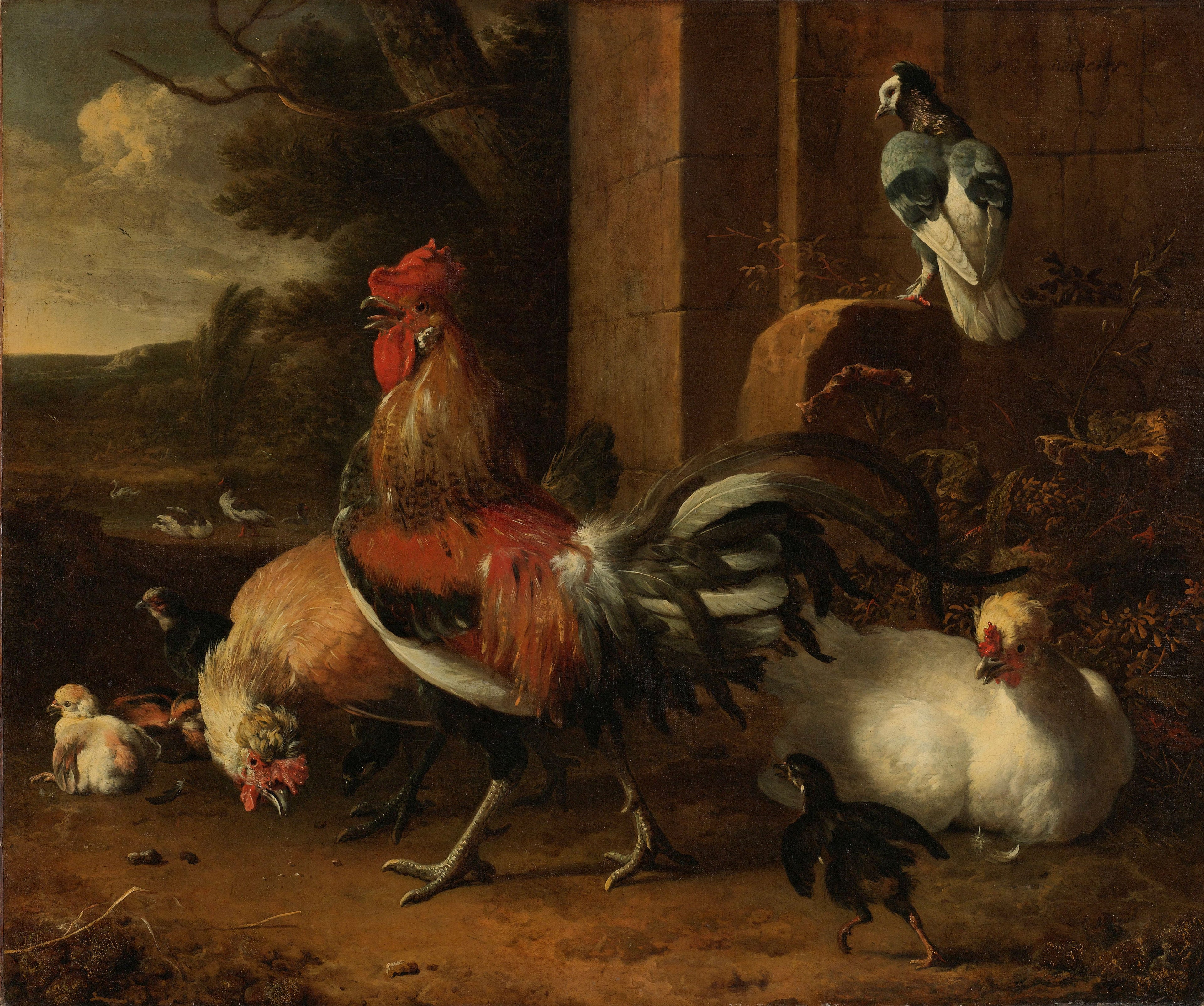 Une basse-cour - Melchior de Hondecoeter