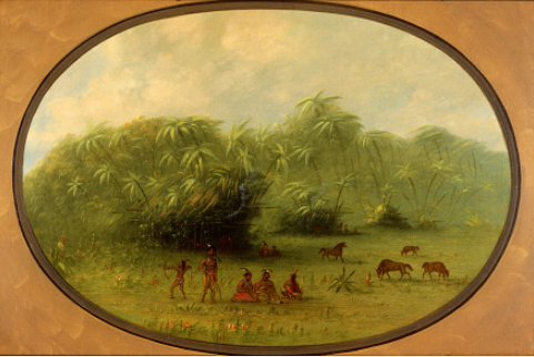 Indiens et chevaux dans la forêt - George Catlin