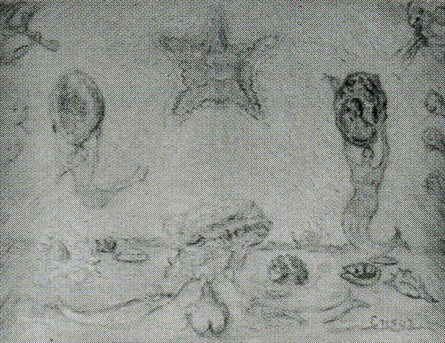 Starry Rays - James Ensor