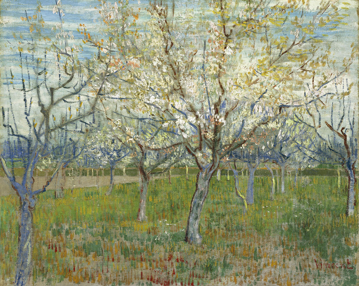 🌸 สวนผลไม้ที่เบ่งบาน – Vincent van Gogh (1888)