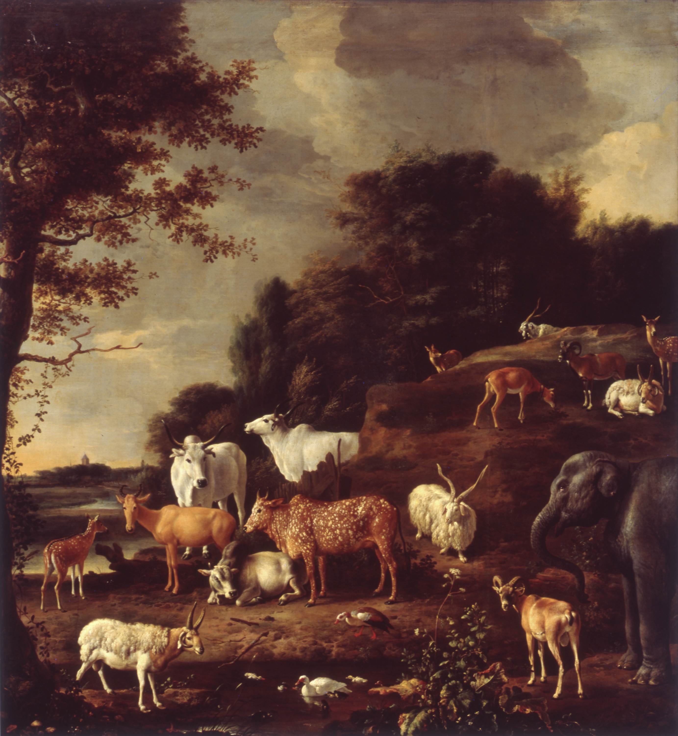 Paysage aux animaux exotiques - Melchior de Hondecoeter