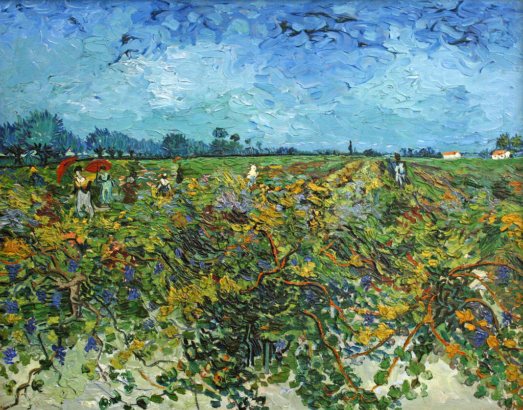 🍇 สวนองุ่นสีเขียว – Vincent van Gogh (1888)
