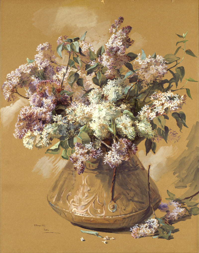 Lilas - Elizabeth Nourse