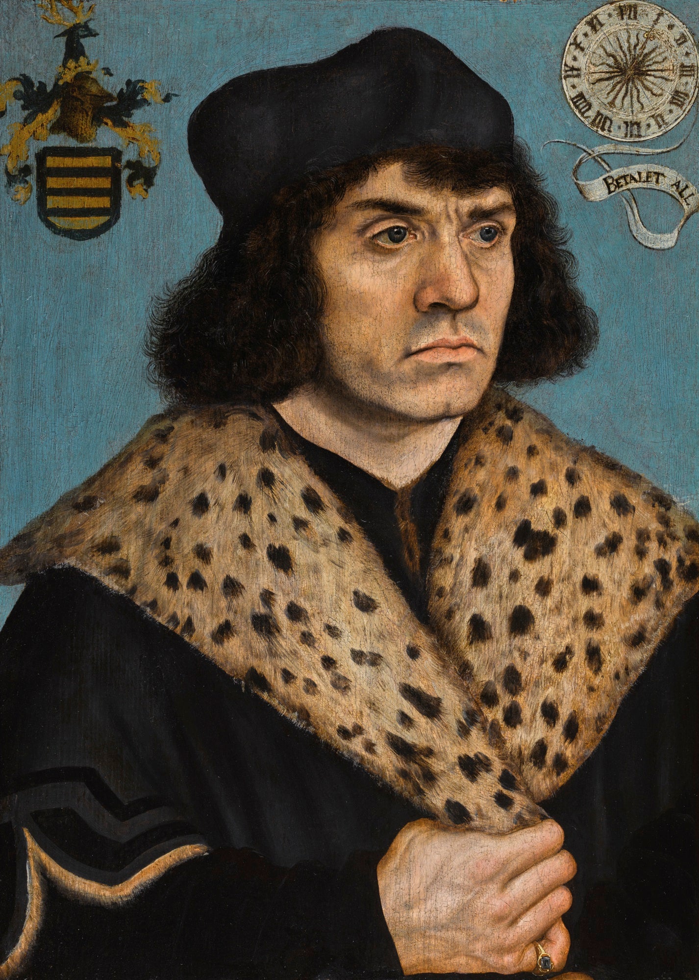 Portrait d'un homme inconnu avec un col en fourrure tachetée - Lucas Cranach the Elder