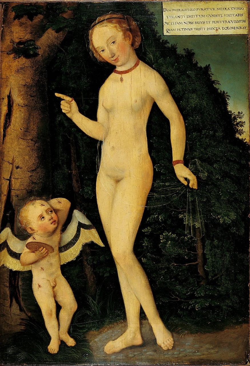 Vénus et l'Amour voleur de miel - Lucas Cranach the Elder