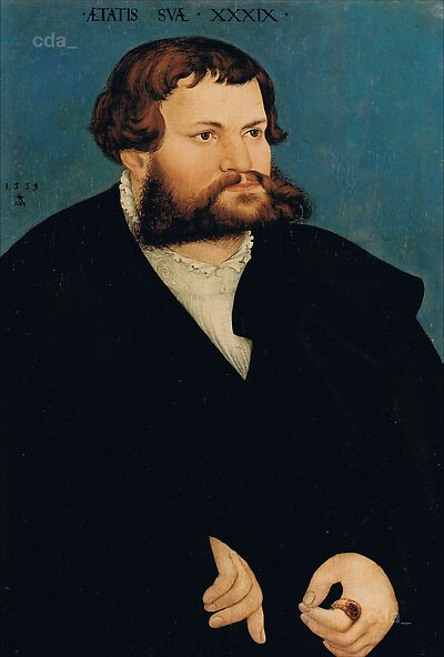 Portrait d'un homme - Lucas Cranach the Elder