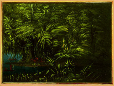 Forêt luxuriante au bord de l'Amazone - George Catlin
