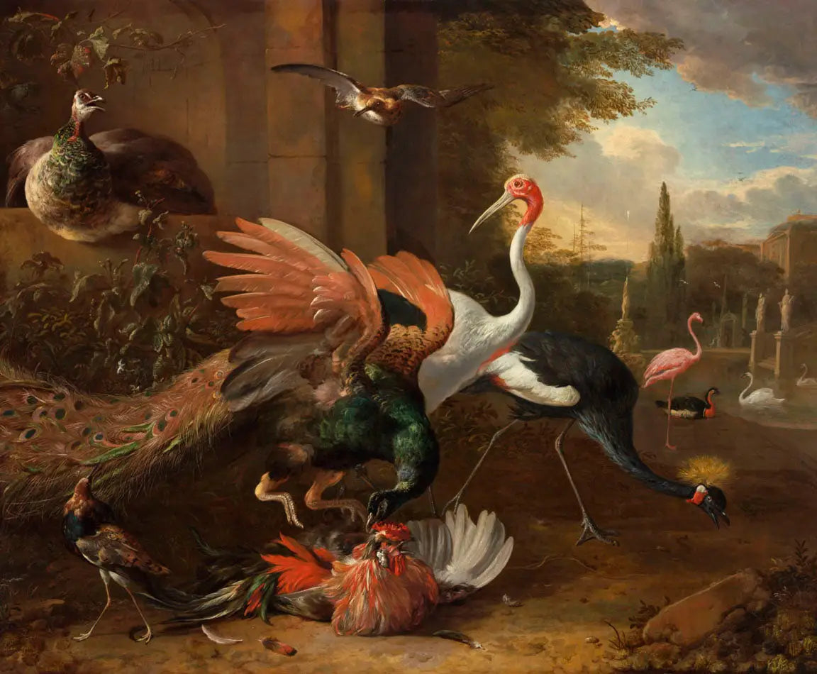 Un paon attaquant un coq - Melchior de Hondecoeter - Alpha Reproduction