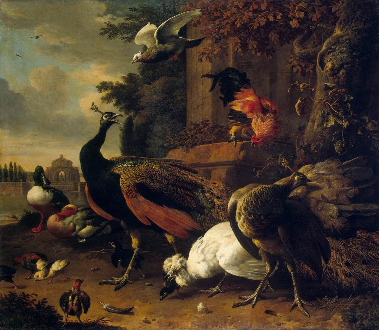 Oiseaux dans un parc - Melchior de Hondecoeter