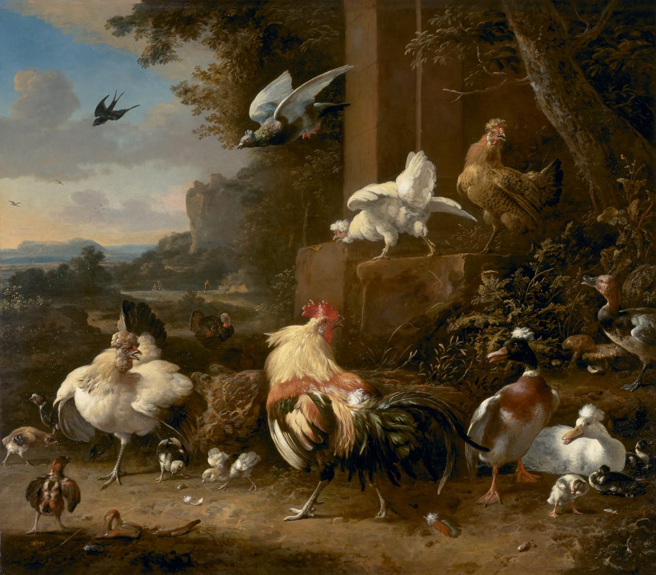 La basse-cour - Melchior de Hondecoeter