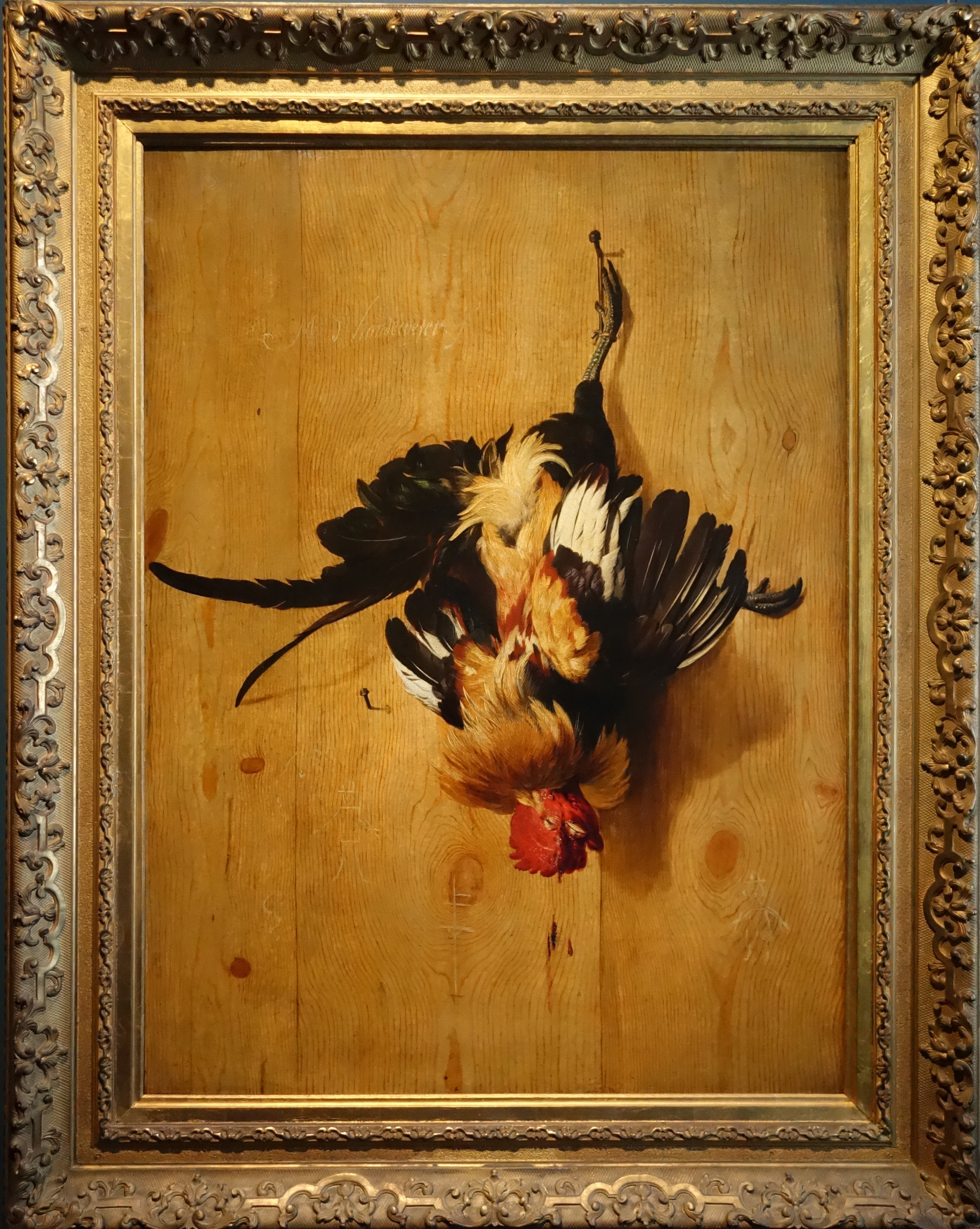 Coq mort - Melchior de Hondecoeter