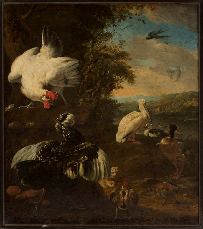 volailles domestiques - Melchior de Hondecoeter