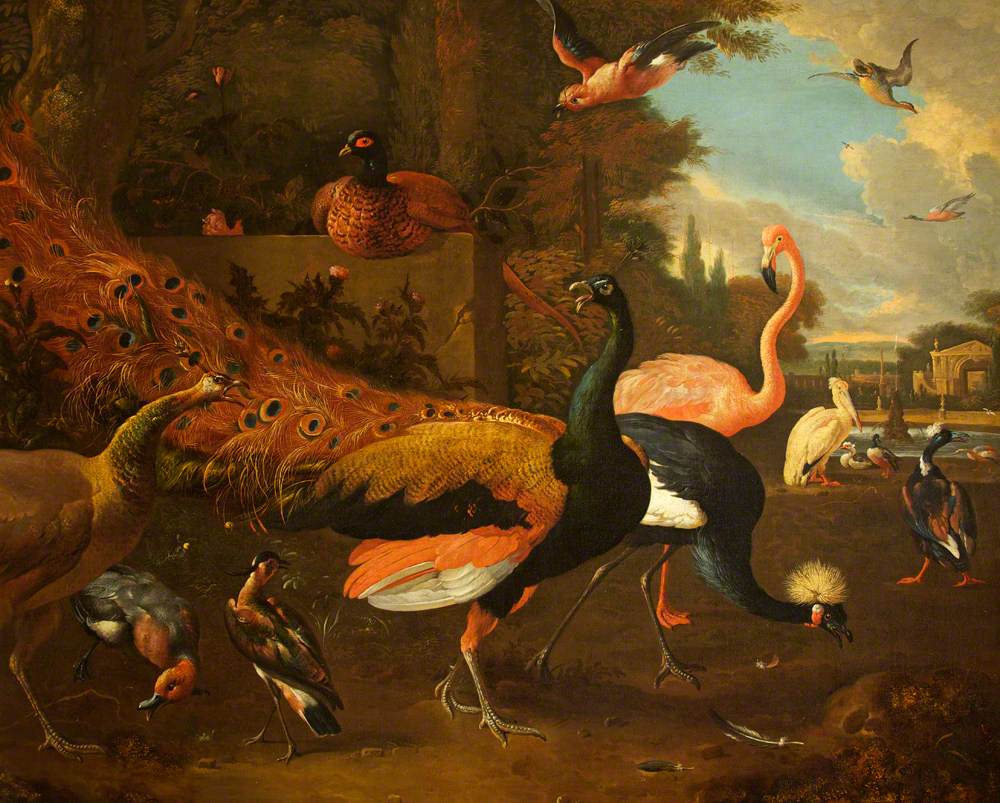 Un paon et une paonne avec une grue, un flamant rose, un pélican et d'autres oiseaux, dans un parc - Melchior de Hondecoeter