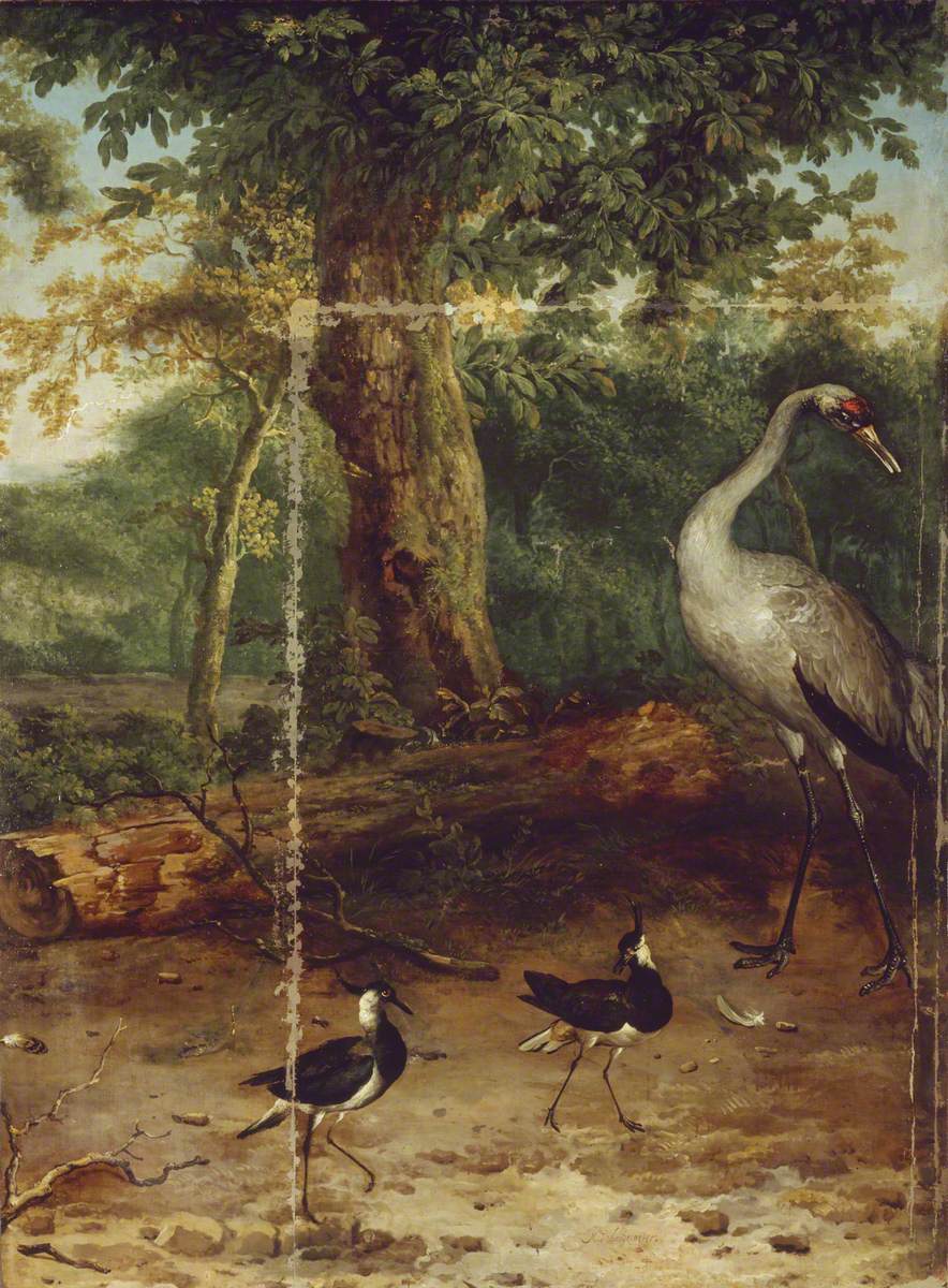 Oiseaux dans un bois - Melchior de Hondecoeter